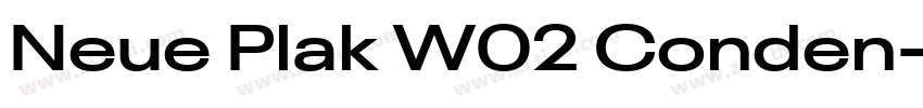 Neue Plak W02 Conden字体转换